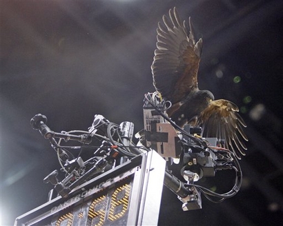 Hawks Mascot Basketball