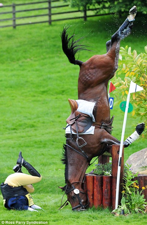 article-1193186-0558EEC0000005DC-877_468x716