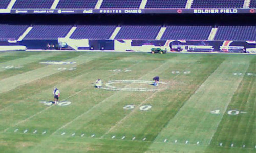 500x_bearsfield 500x_bearsfield