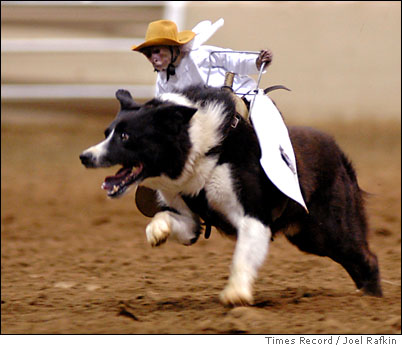 COWBOY MONKEY