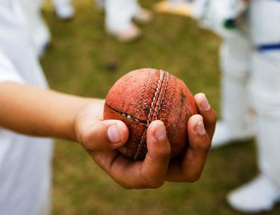 cricket-ball cricket-ball